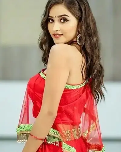 Escort In Firozabad
